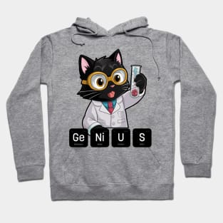 Genius Funny Cat Hoodie